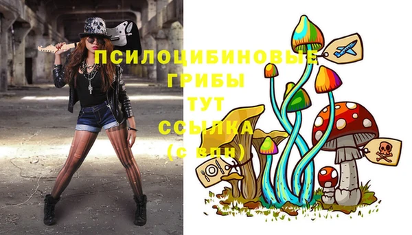 а пвп мука Осинники