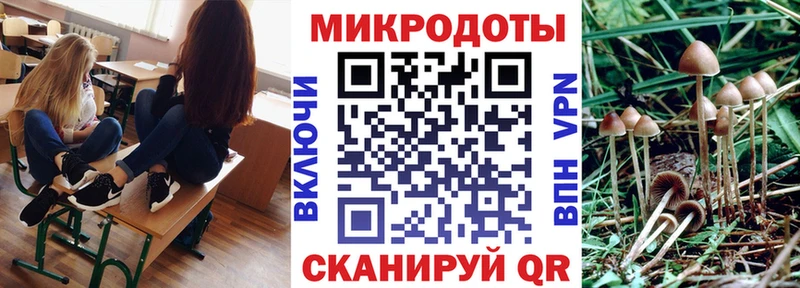 хочу   Реж  Галлюциногенные грибы Cubensis 