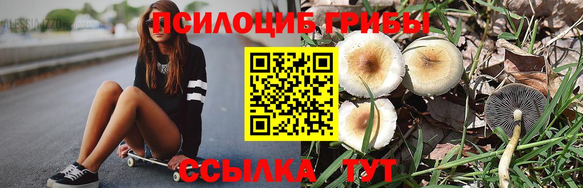 Галлюциногенные грибы MAGIC MUSHROOMS  Галлюциногенные грибы Magic Shrooms  Вход с VPN  Реж 