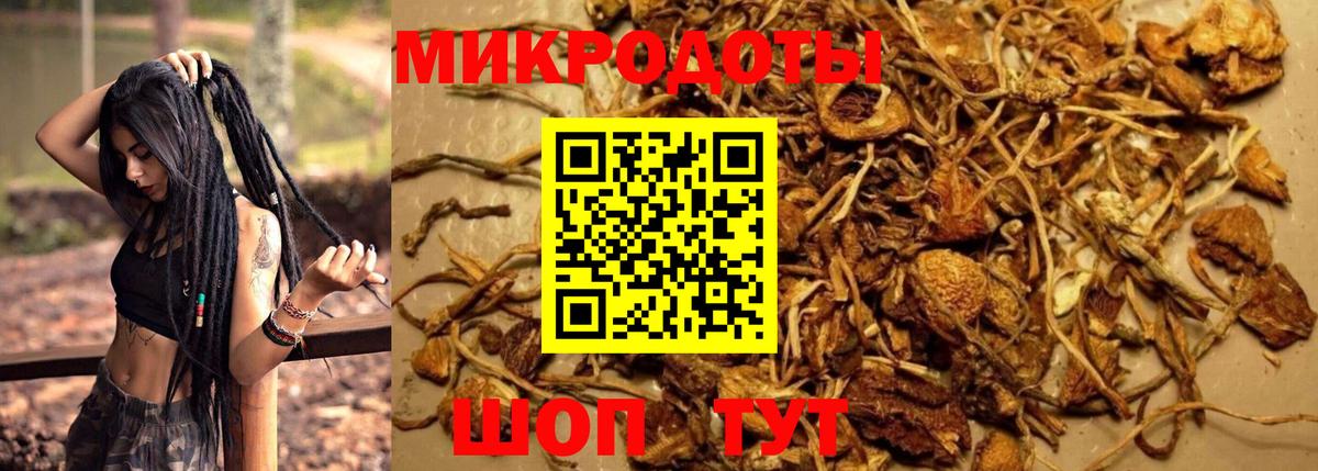Псилоцибиновые грибы Psilocybe Реж